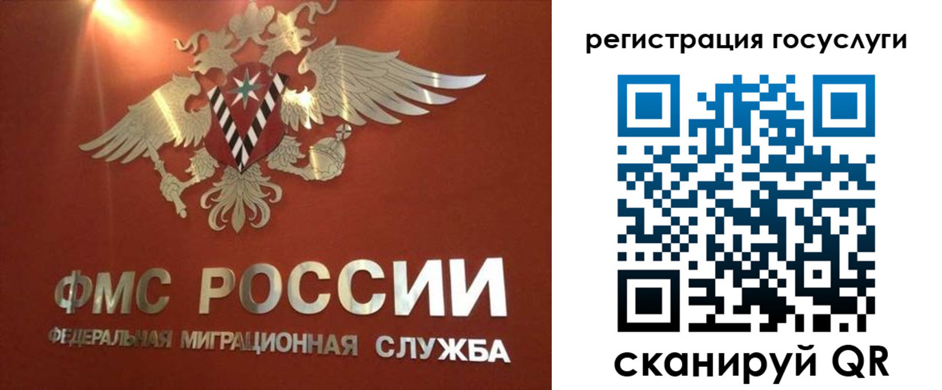 прописка ребенка в Долгопрудном